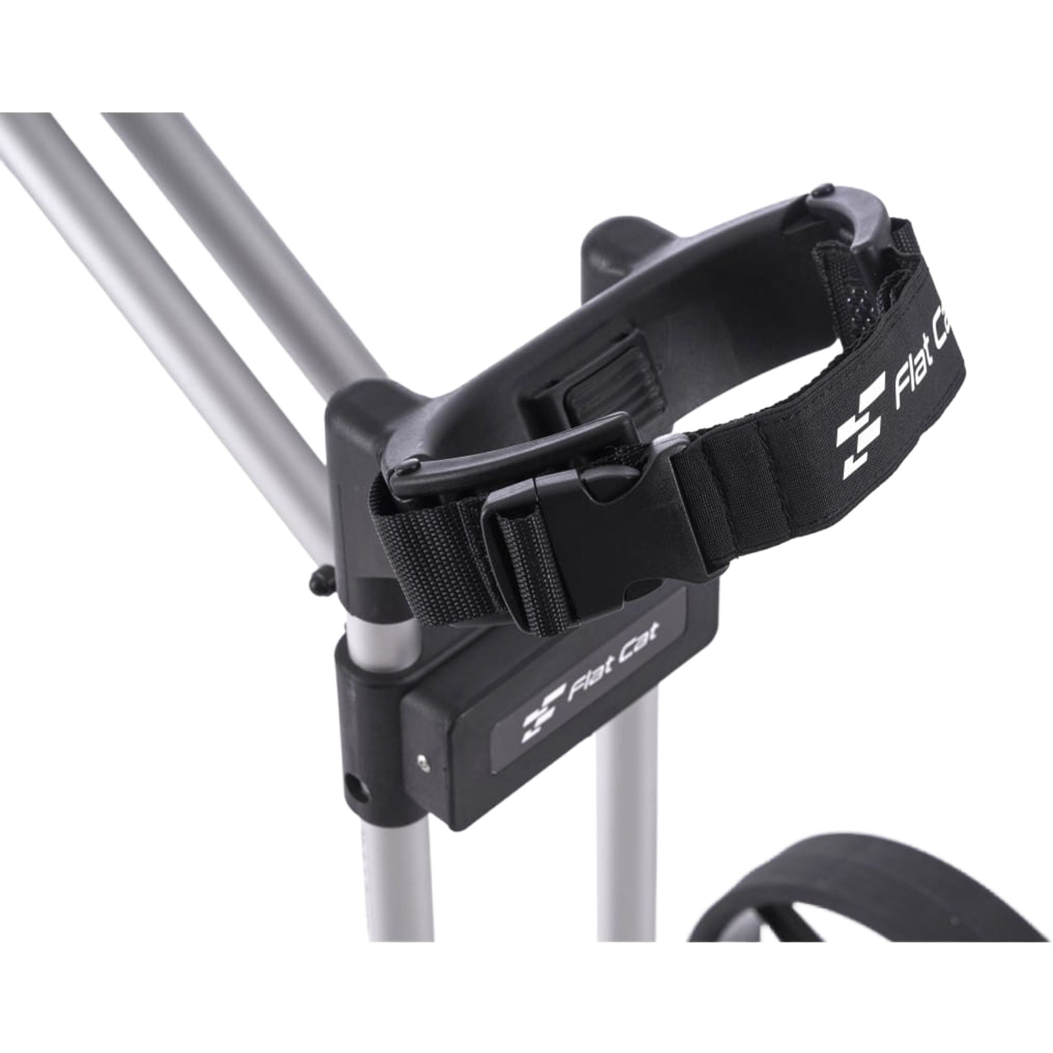 Chat plat Sangle pour chat plat