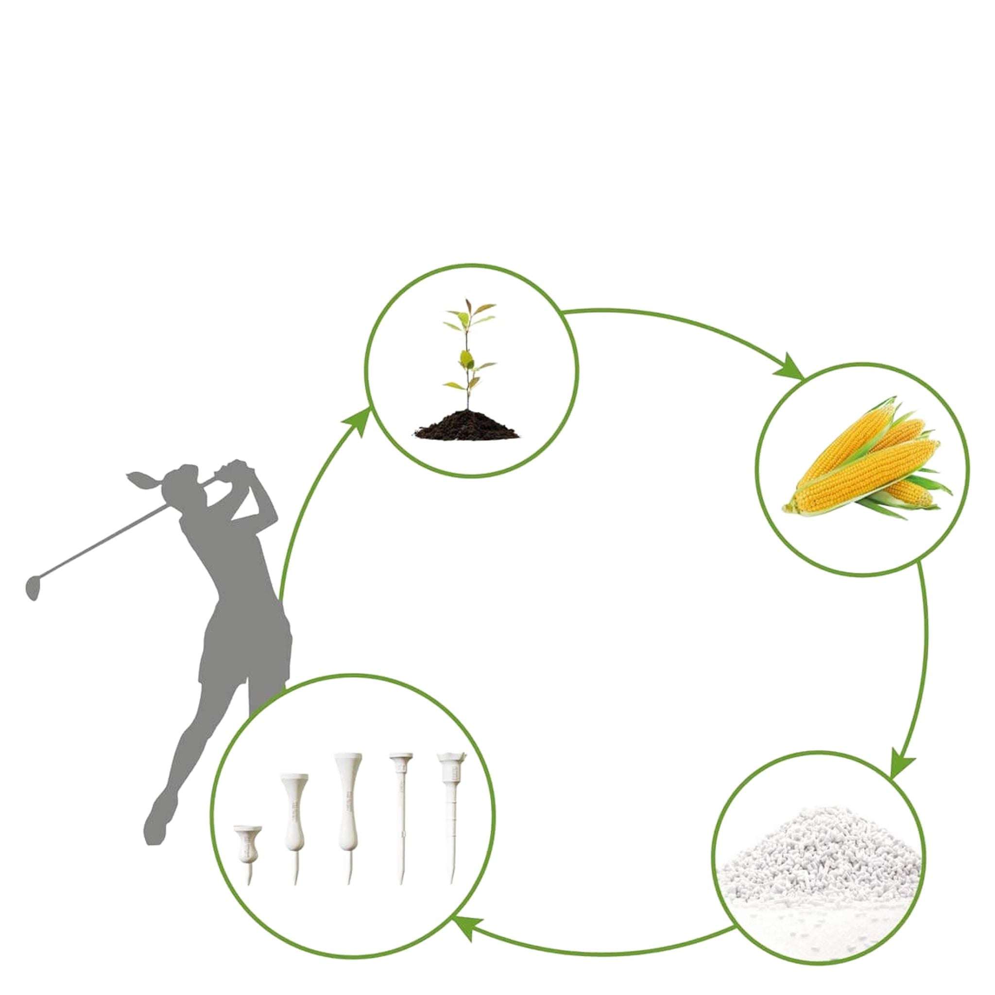 Thé Lignum Next Step