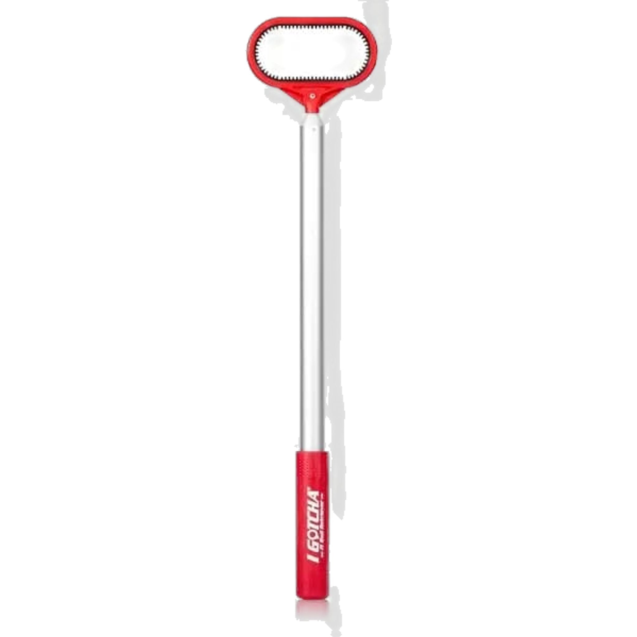 J'ai attrapé le retriever de balles Jaws