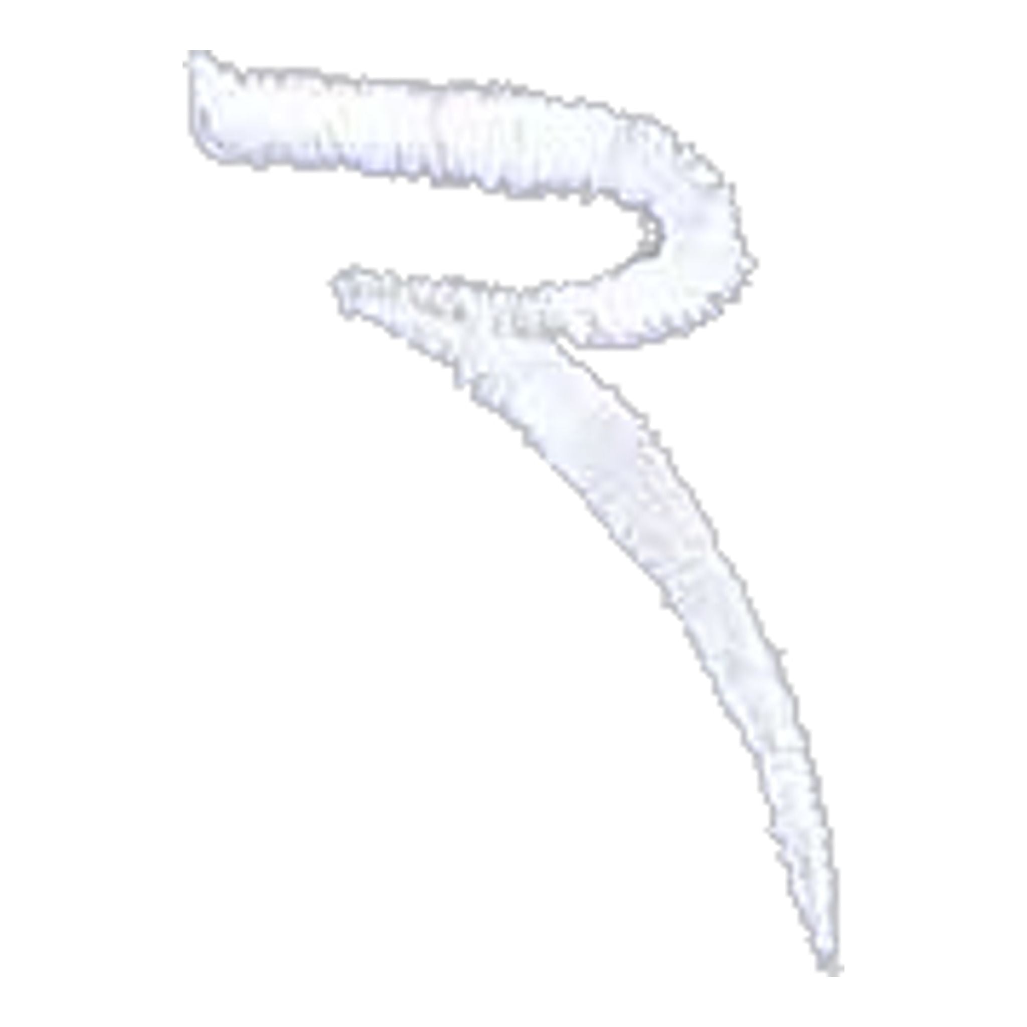 Pantalon de golf pour femmes Chervo Soda