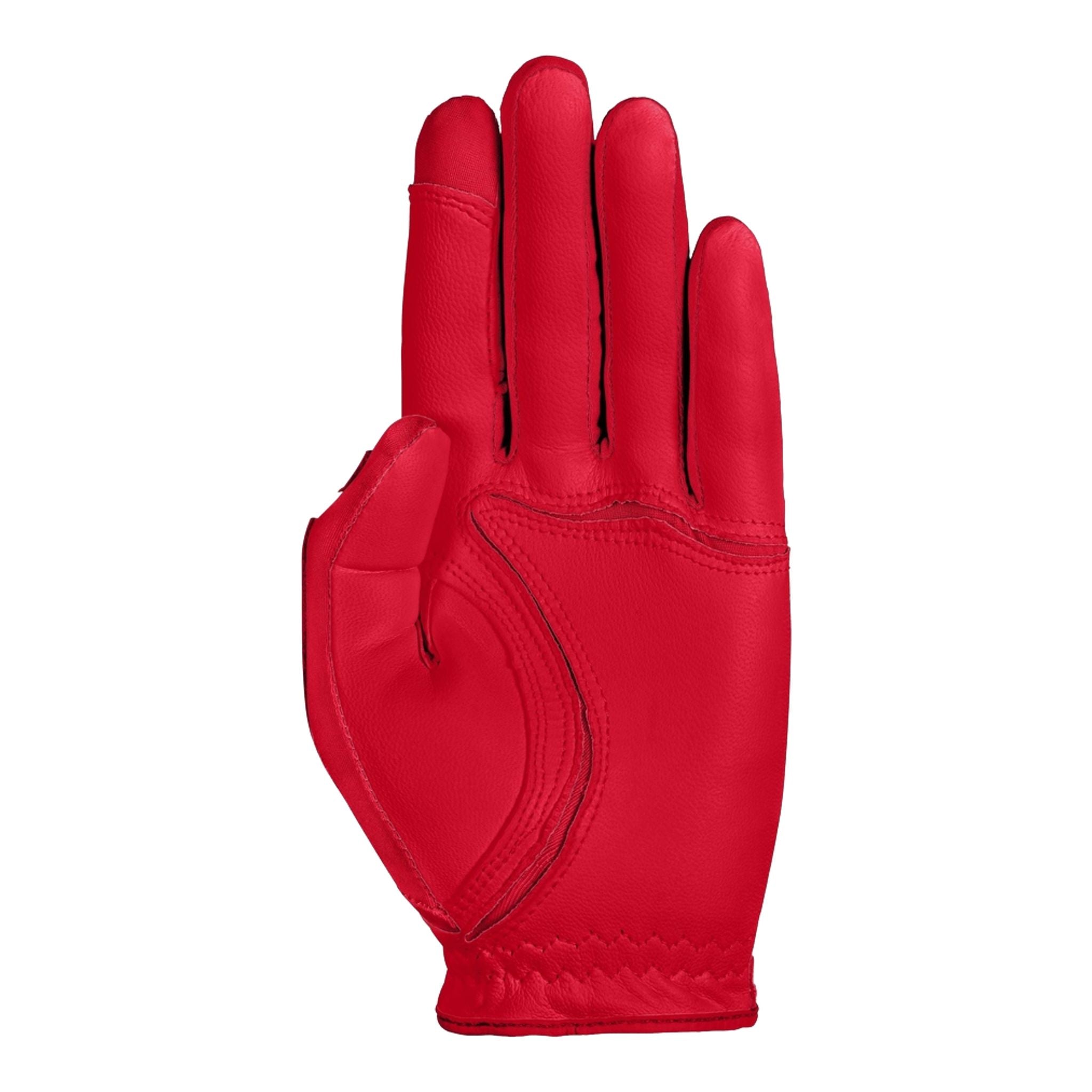Gants de golf Zoom Tour pour hommes