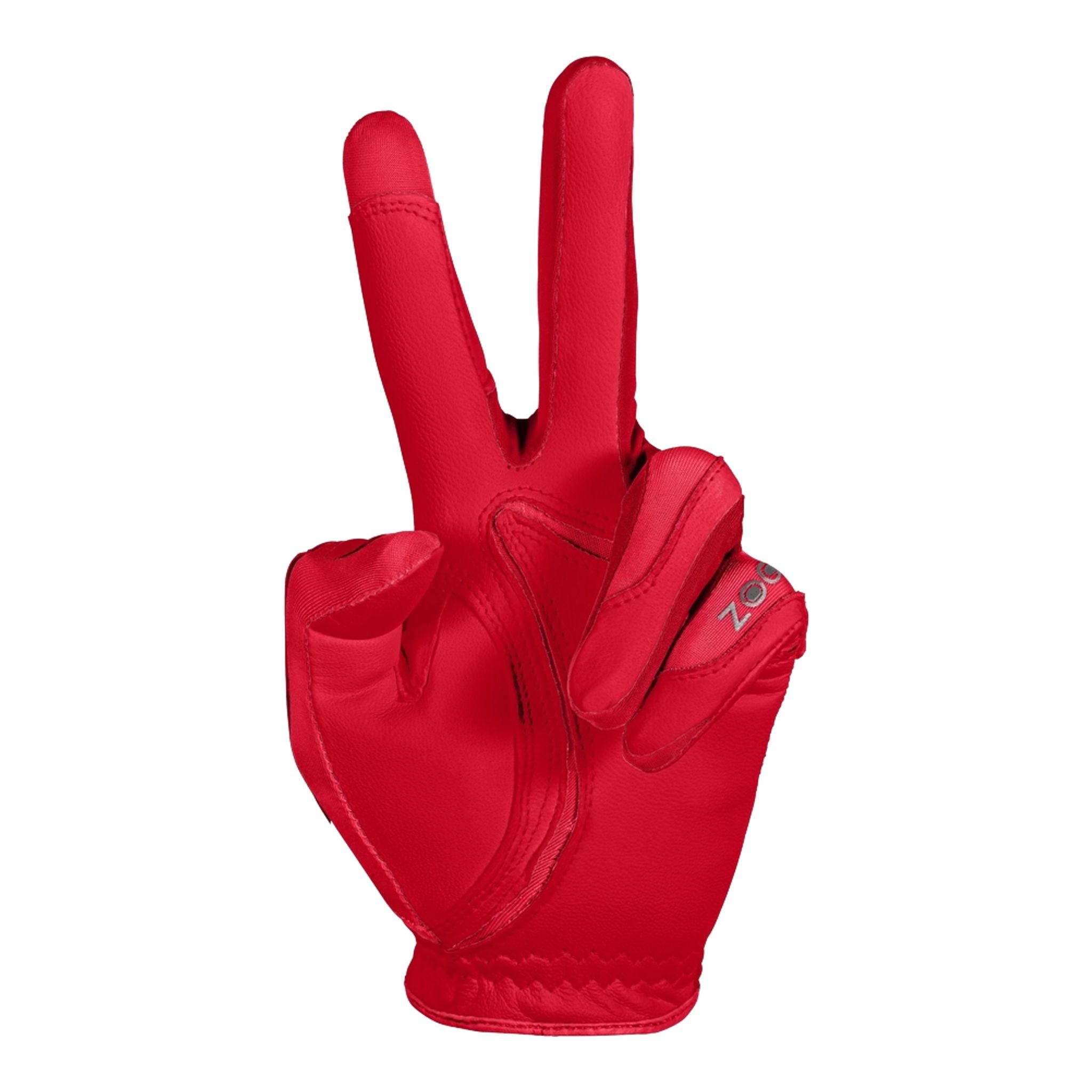 Gants de golf Zoom Tour pour hommes