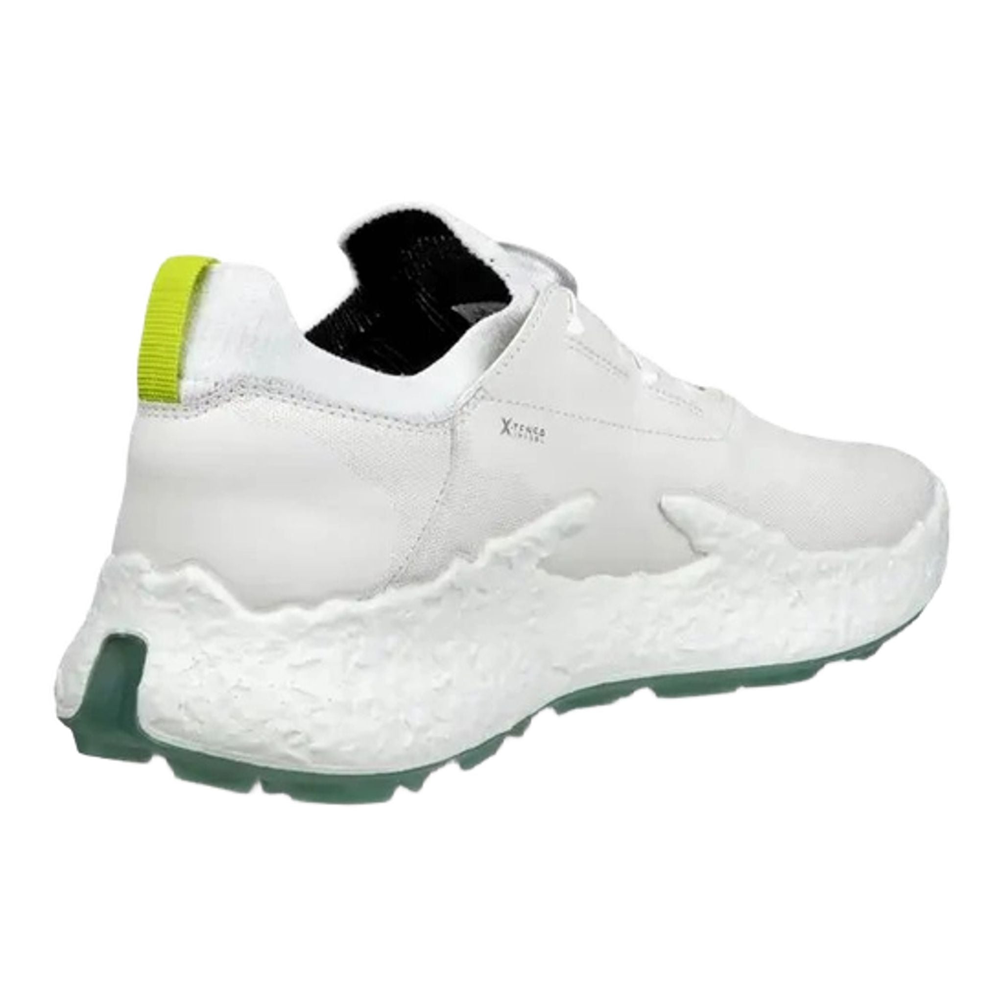 Chaussures de golf Ecco Biom H5 pour hommes