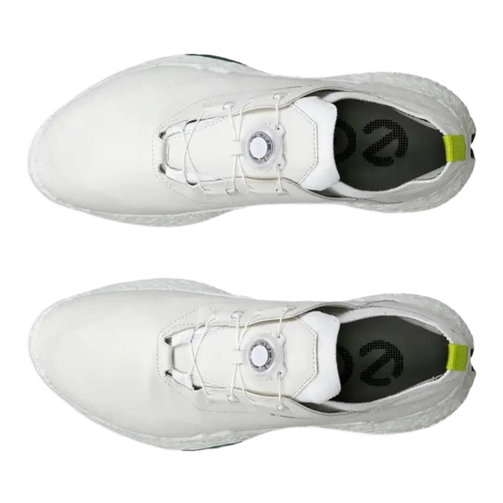 Chaussures de golf Ecco Biom H5 pour hommes