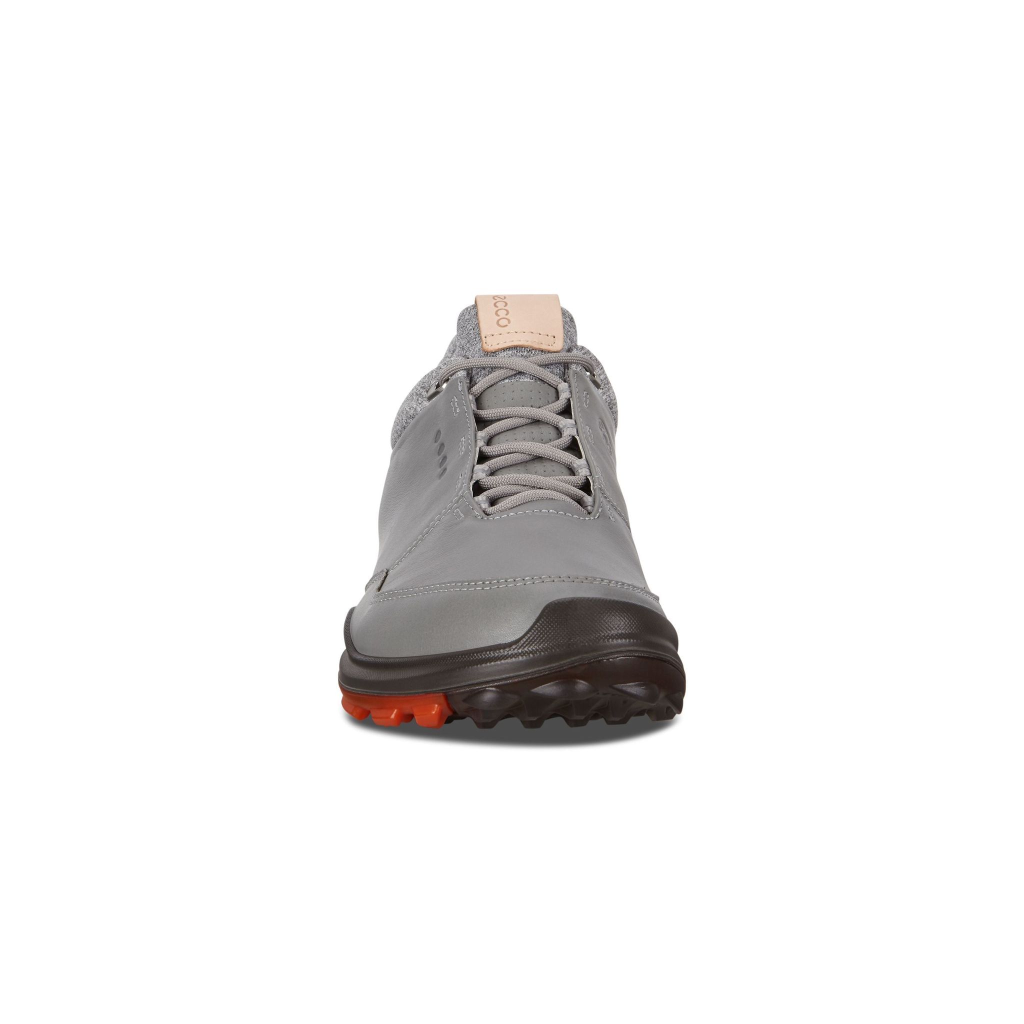 Ecco Biom Hybrid 3 Wild Dove/Fire Hommes Hommes