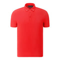 Polo Chervo Allas pour hommes
