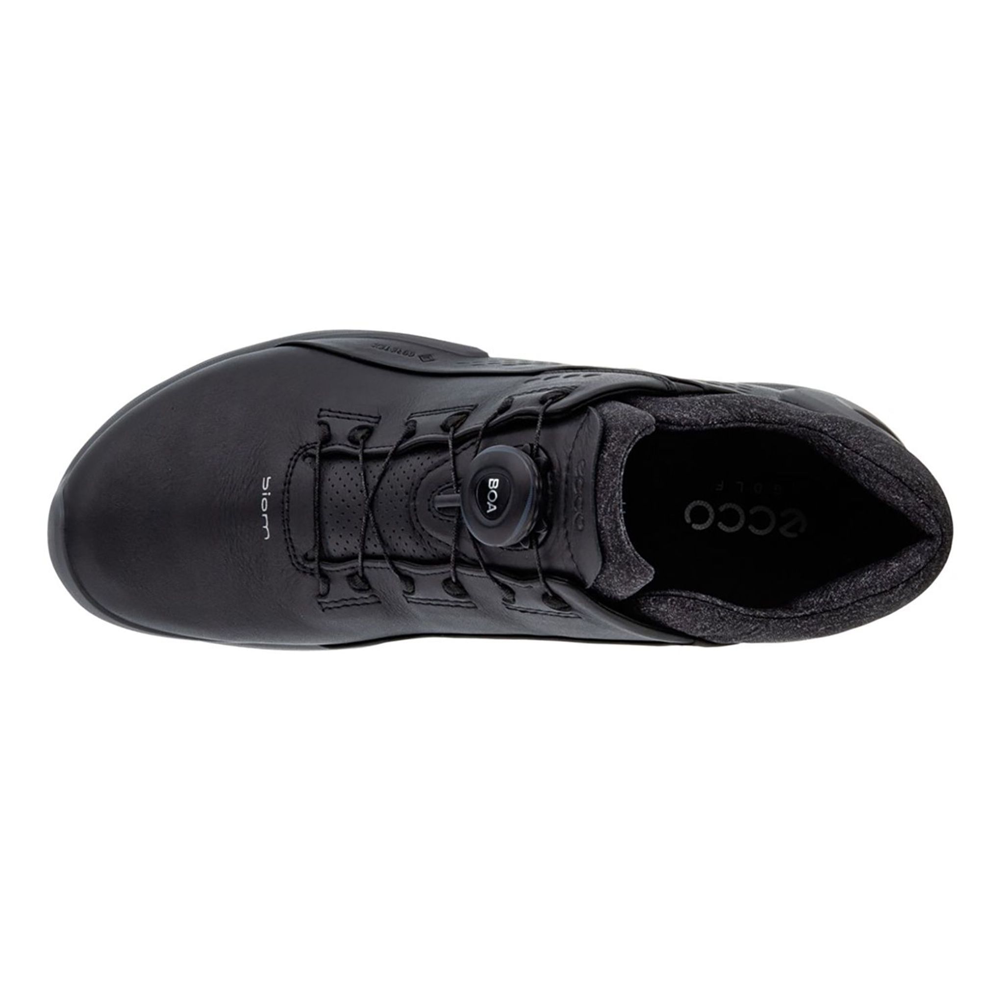 Chaussures de golf Ecco Biom G3 BOA Gore-Tex pour hommes