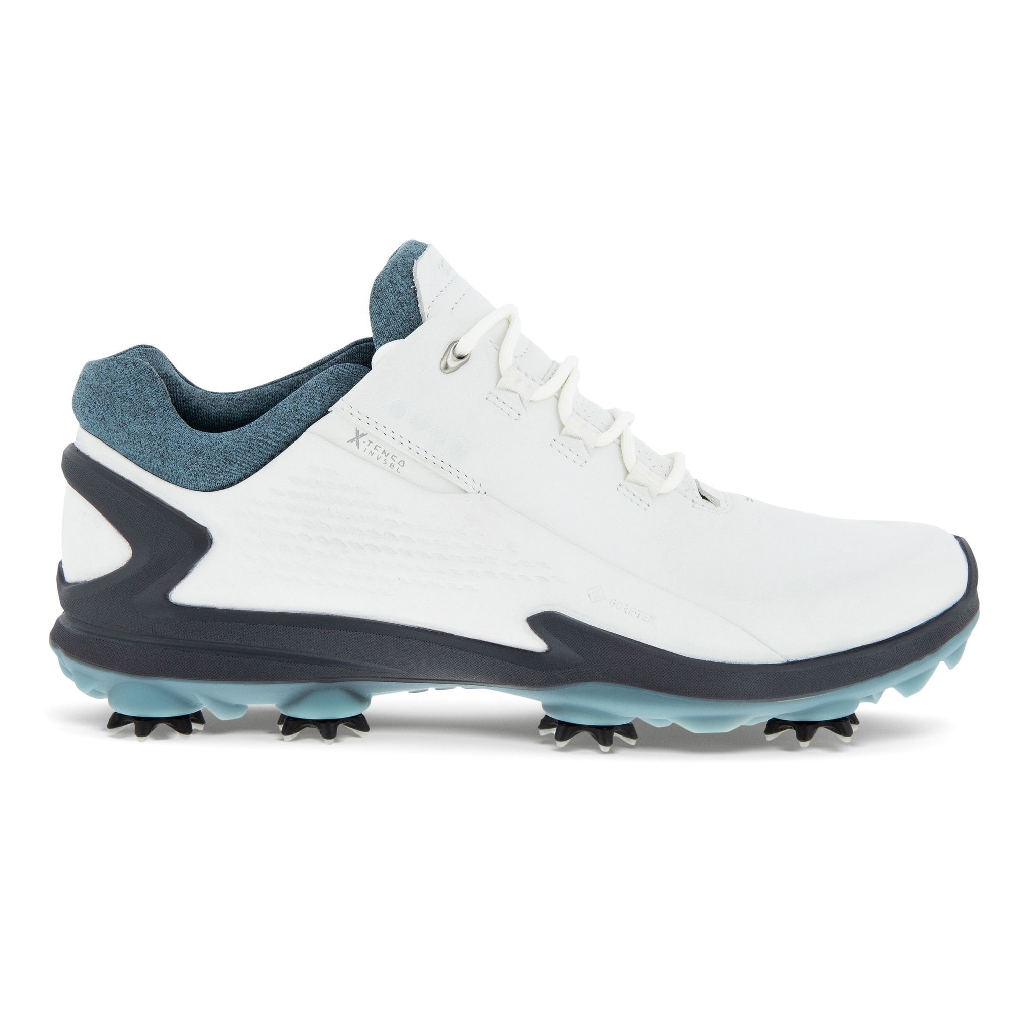 Chaussures de golf Ecco Biom G3 Gore-Tex pour hommes