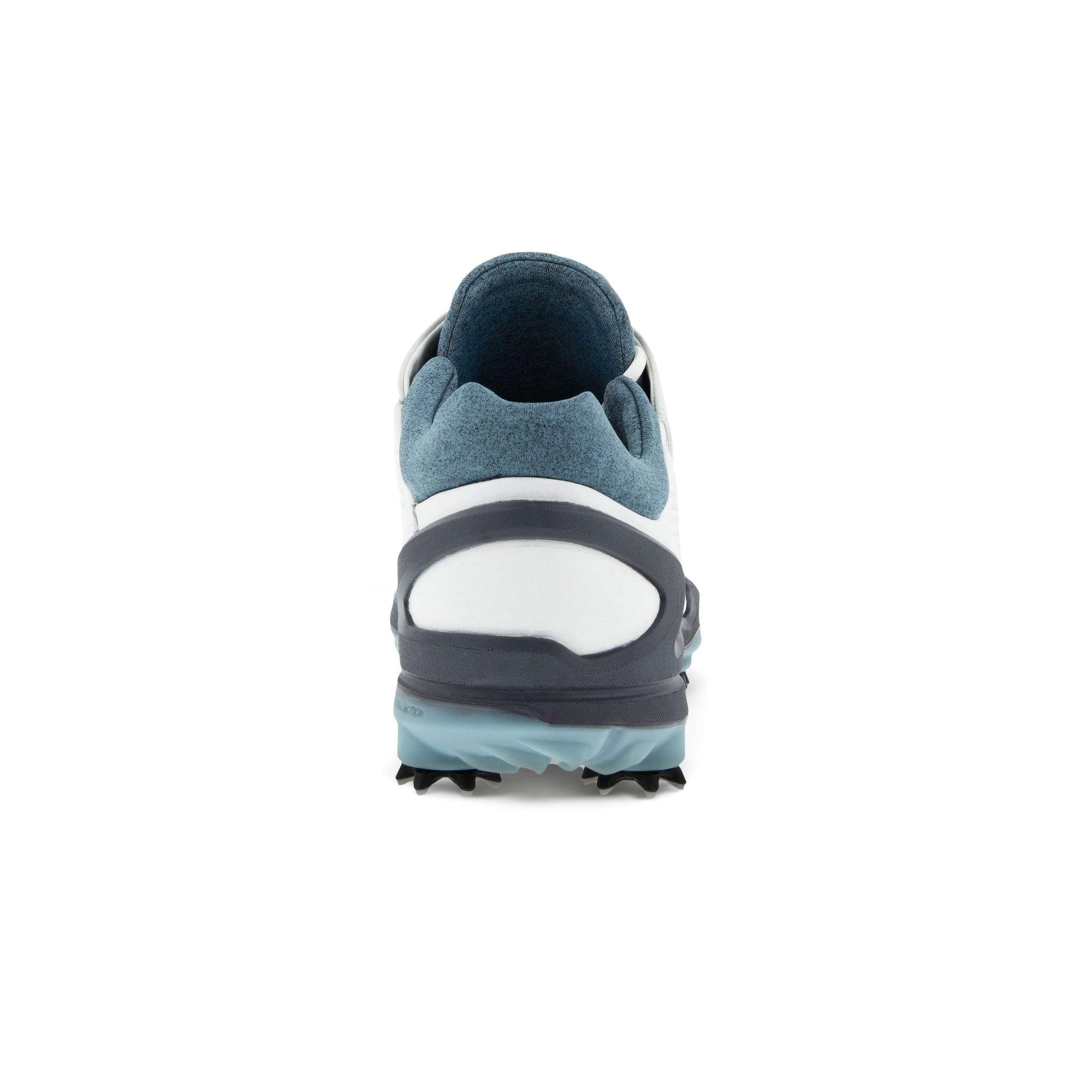Chaussures de golf Ecco Biom G3 Gore-Tex pour hommes
