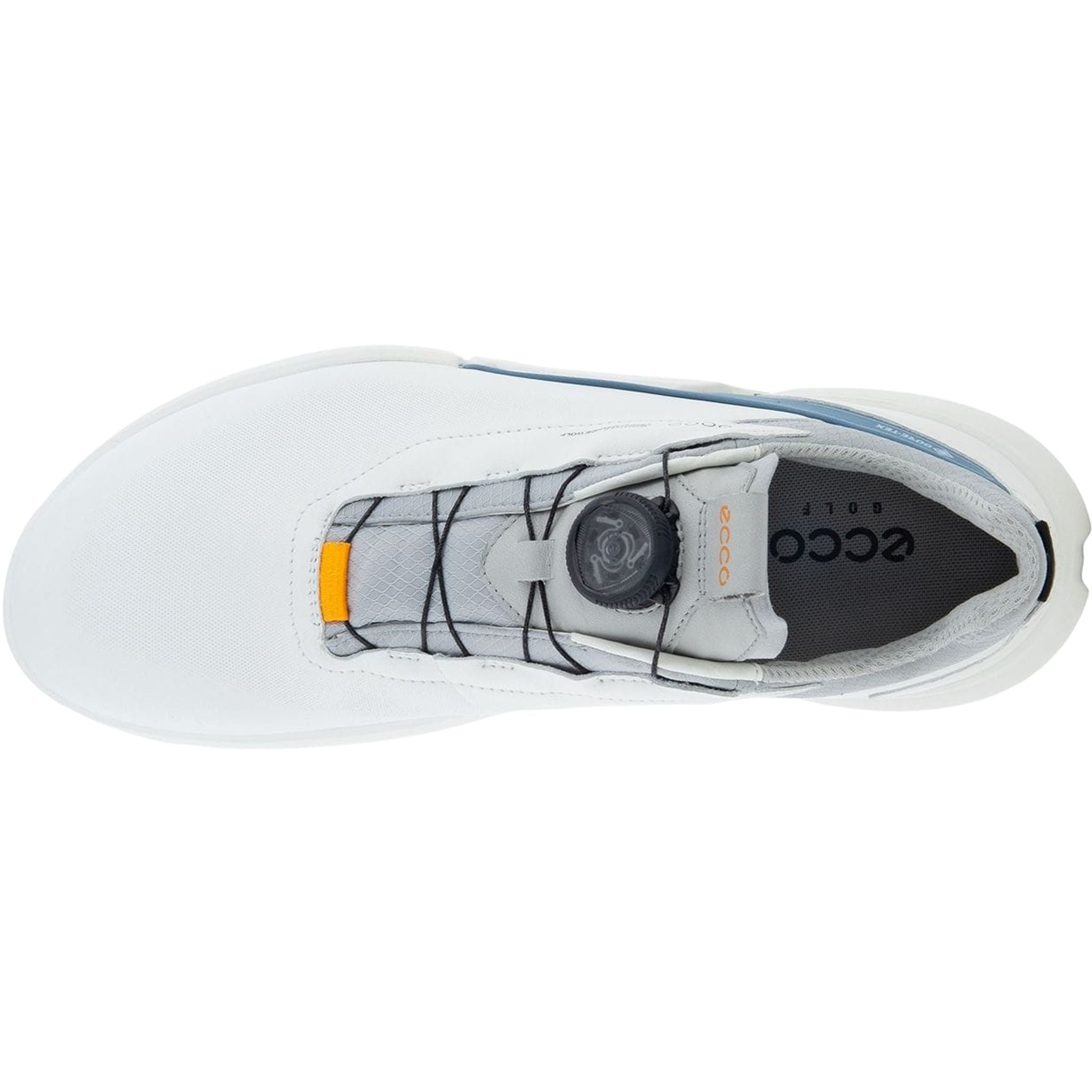 Chaussures de golf Ecco Biom H4 Boa Hommes