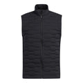 Gilet Adidas Frost Guard pour homme