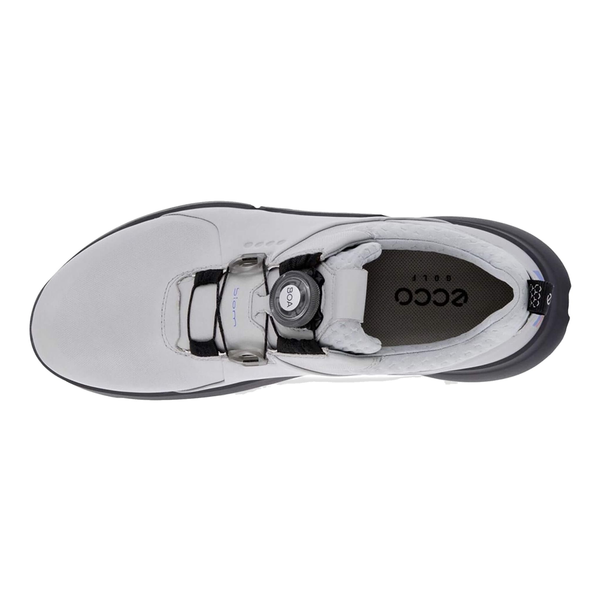 Chaussures de golf Ecco Biom H4 BOA Hommes