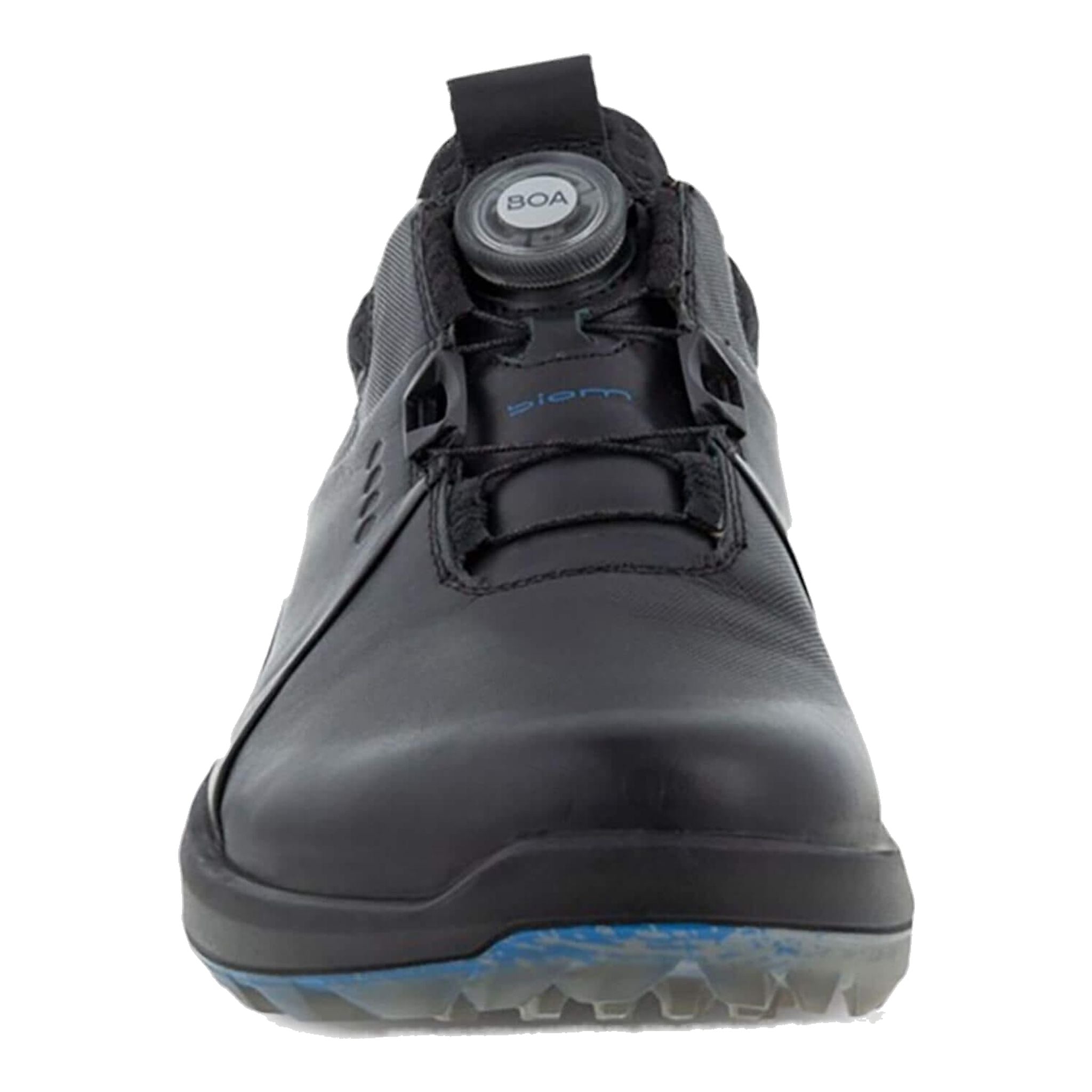 Chaussures de golf Ecco Biom H4 BOA Hommes