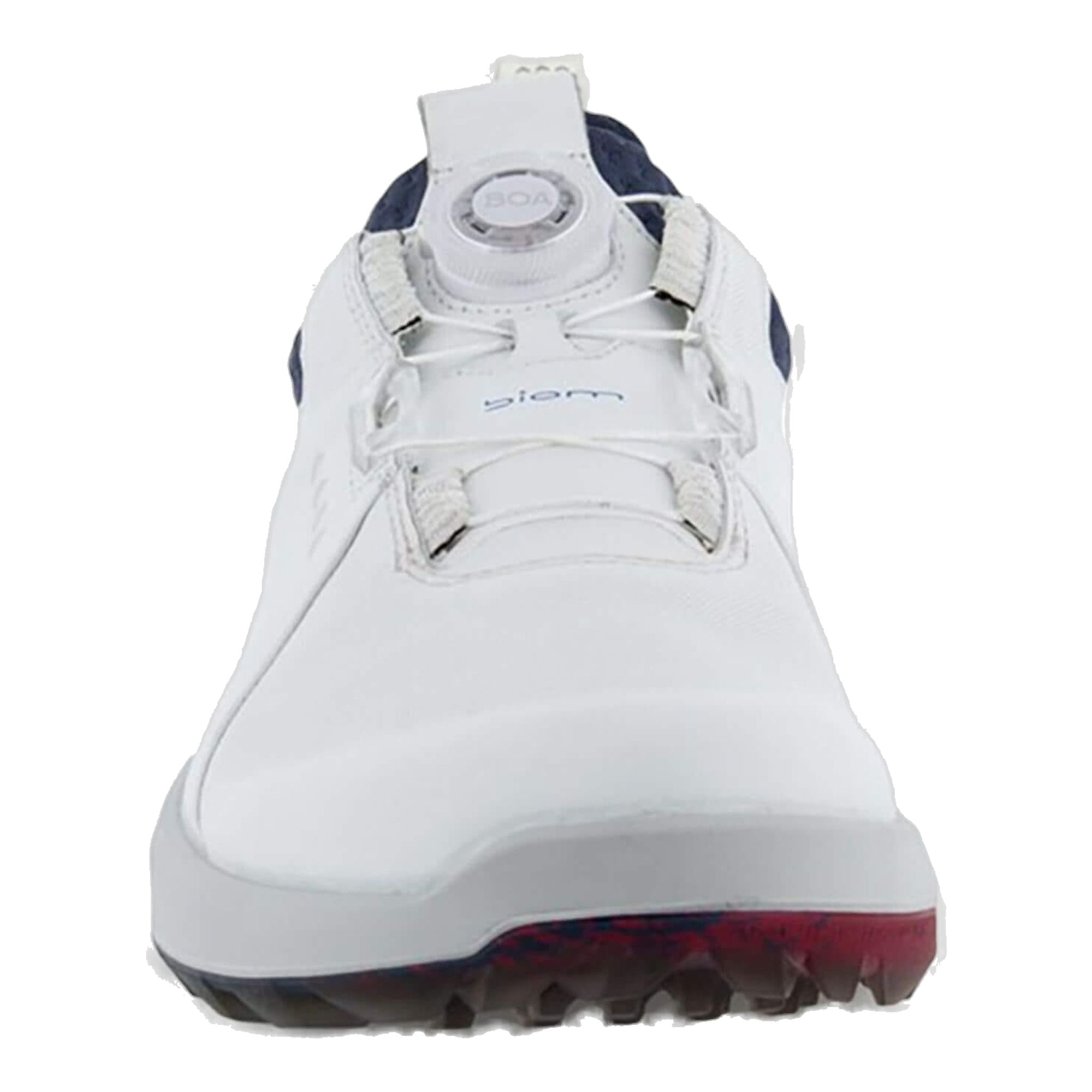 Chaussures de golf Ecco Biom H4 BOA Hommes
