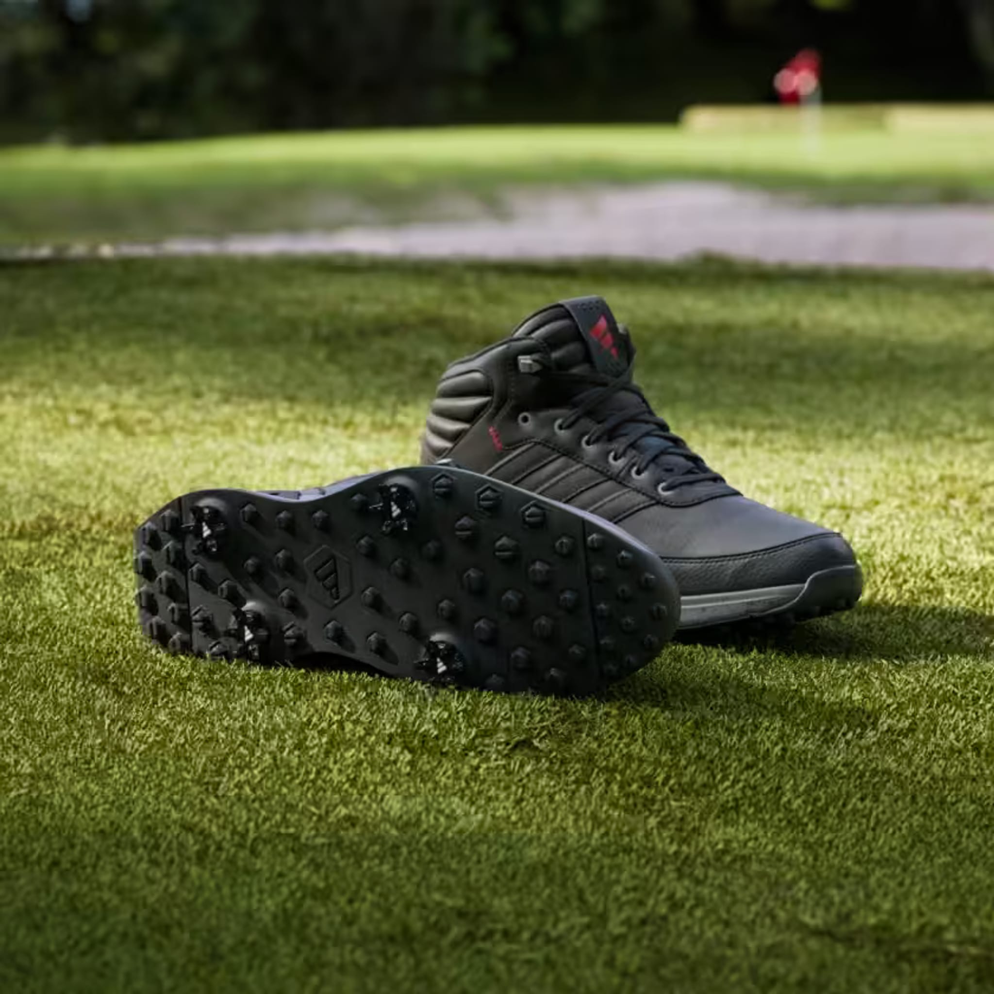 Chaussures de golf Adidas S2G Rain.Rdy pour homme