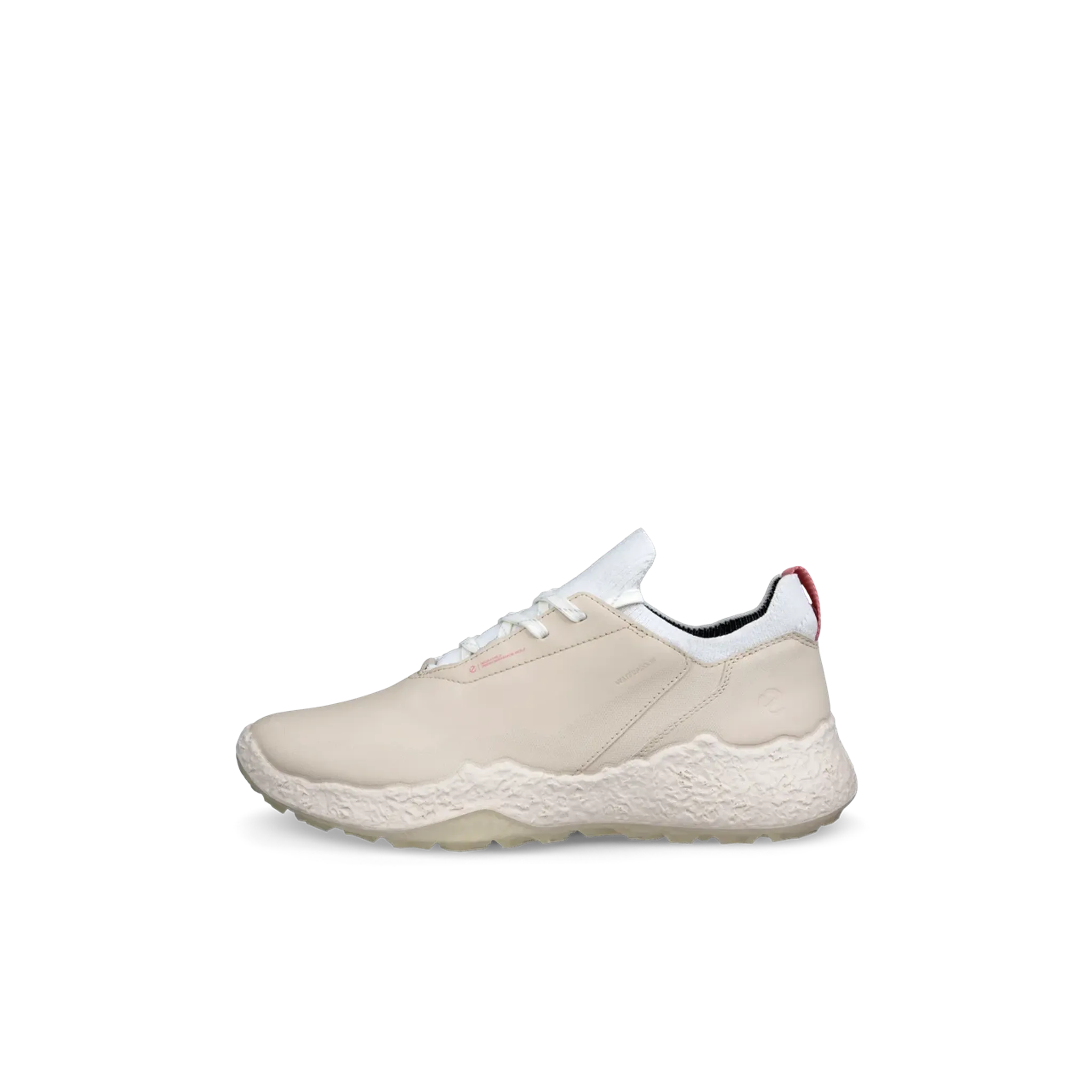Chaussures Ecco Golf Biom H5 pour hommes