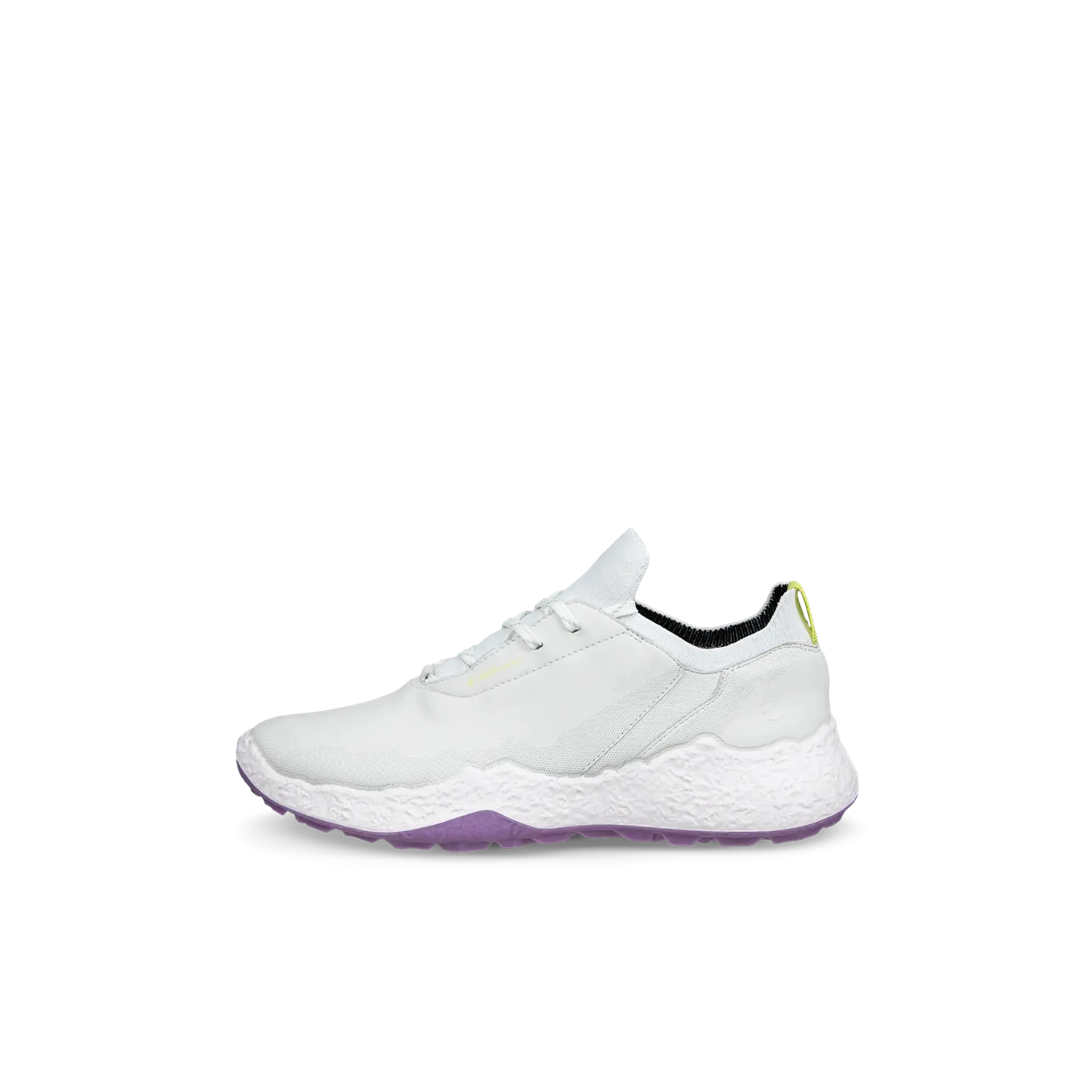 Chaussures Ecco Golf Biom H5 pour hommes