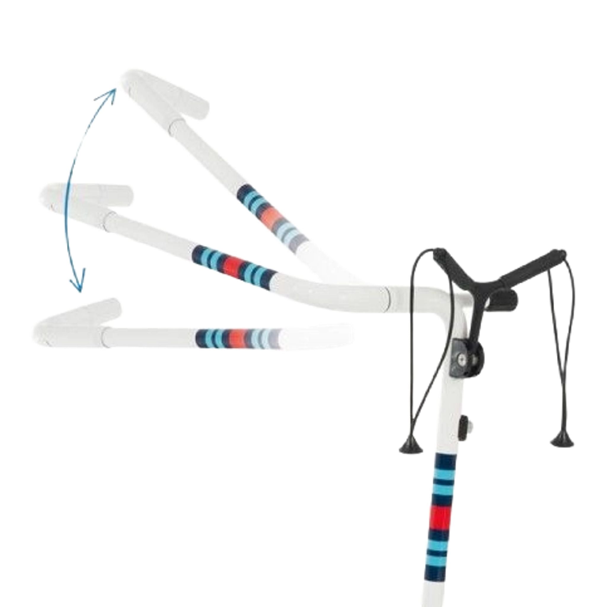 Chariot électrique JuCad Carbon Racing Special 2.0