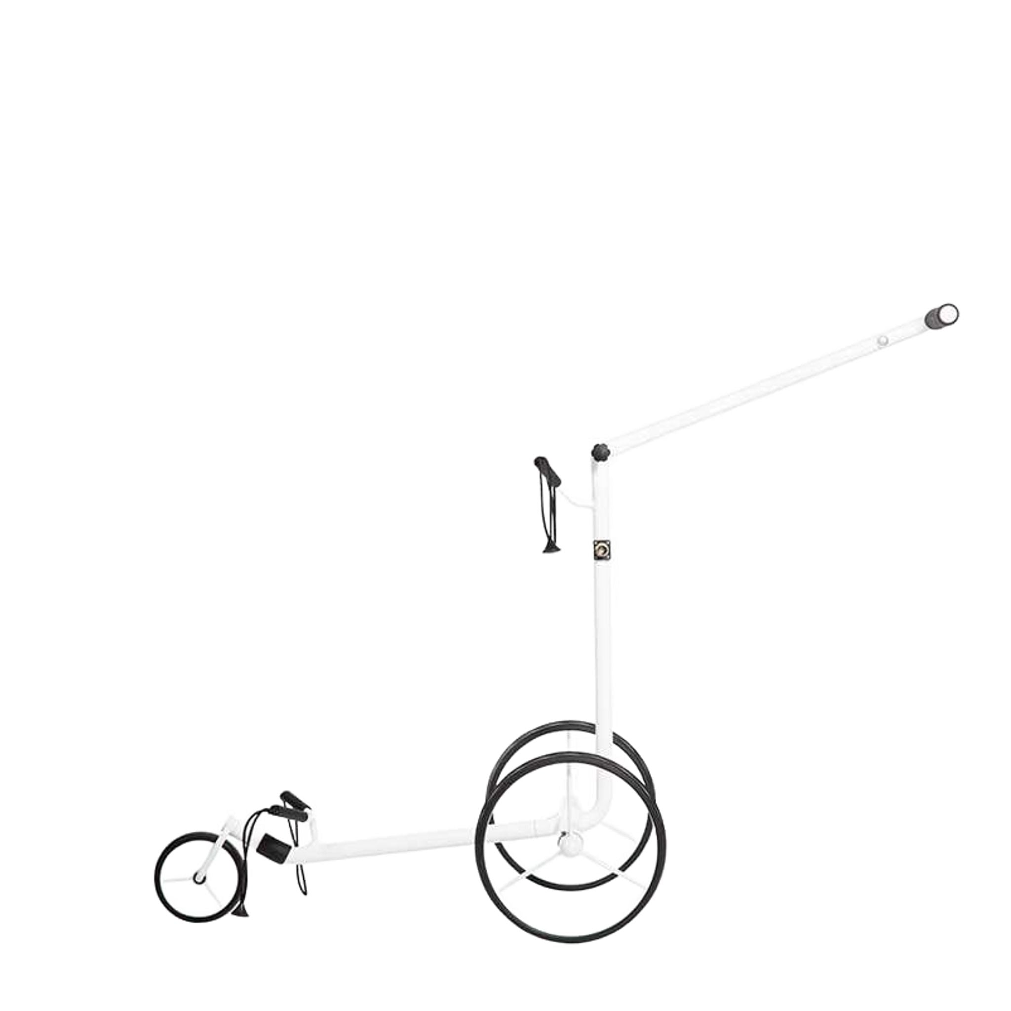 Chariot électrique JuStar 1.0