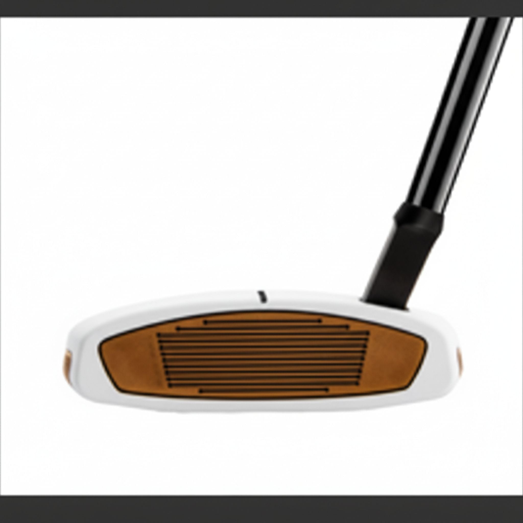 TaylorMade Spider FCG Putter