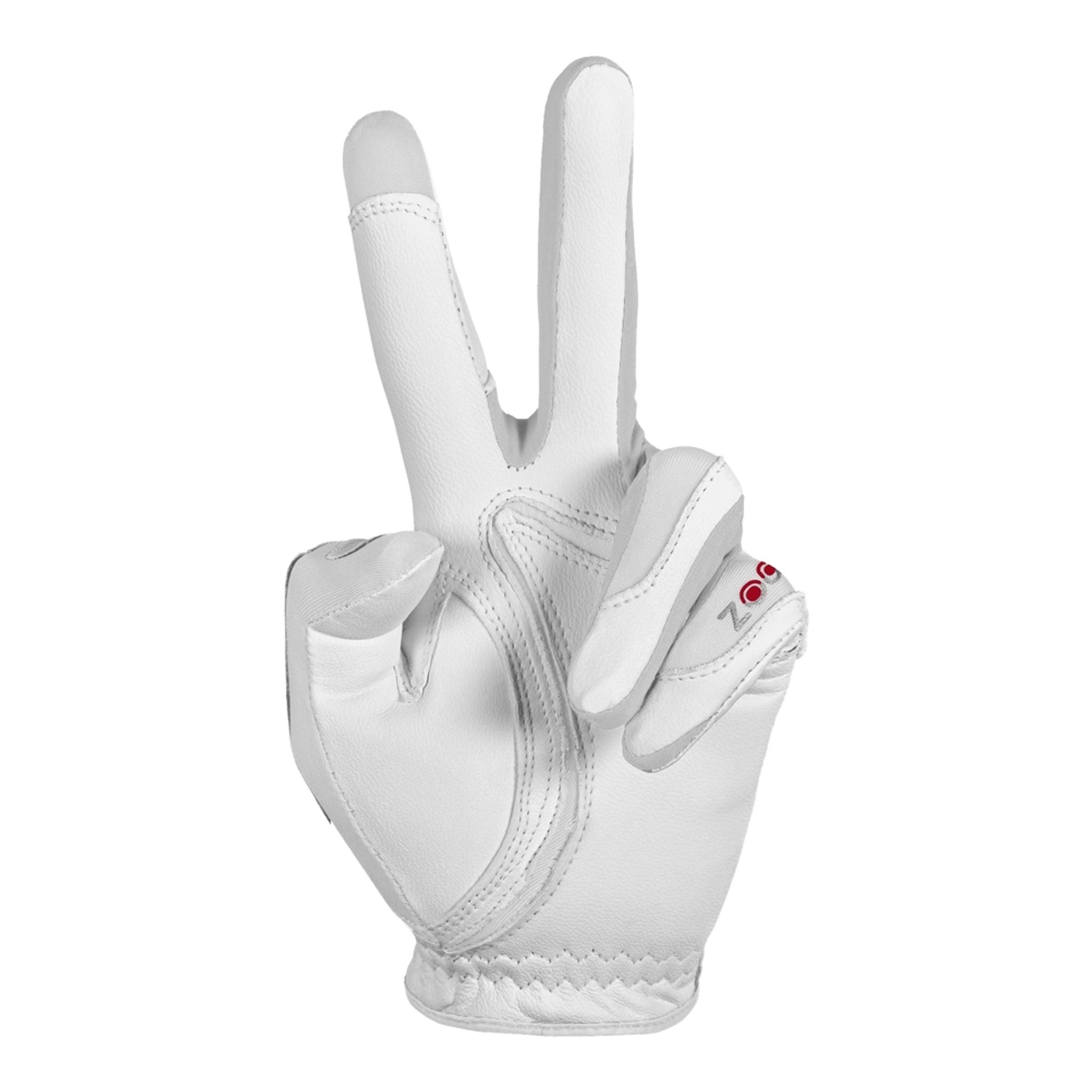 Gants de golf Zoom Tour pour hommes