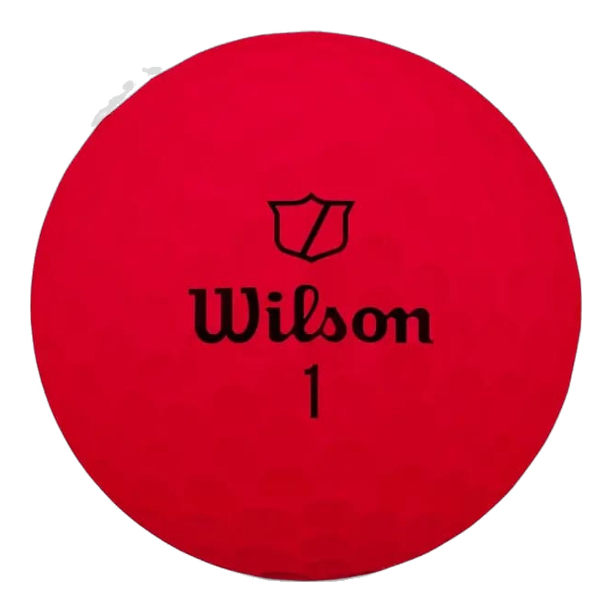 Balles de golf Wilson DUO souples